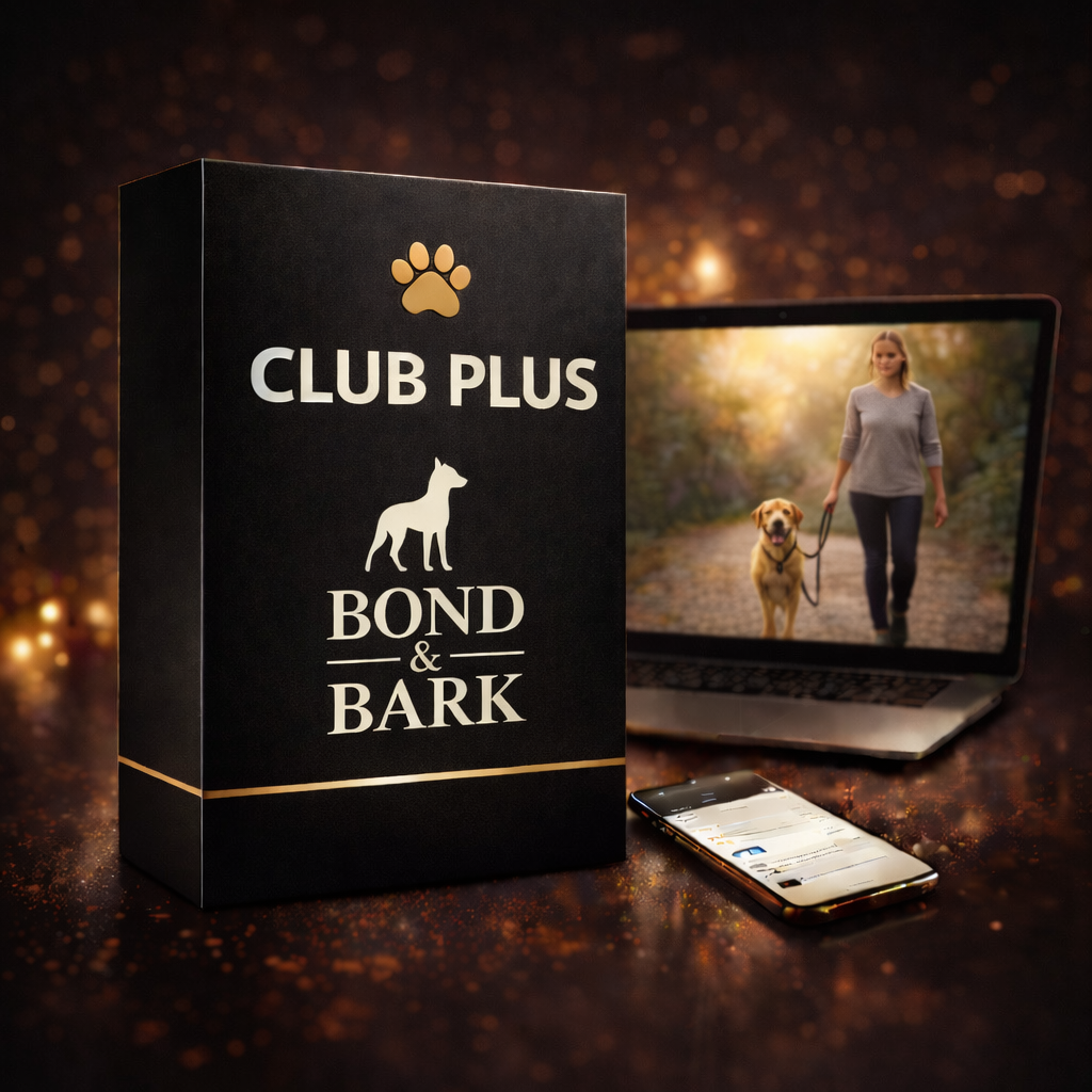 Club Plus